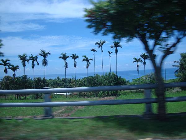 20140628花東四日遊 693