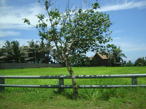 20140628花東四日遊 672 20140628花東四日遊 672