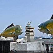 鬼頭刀公母魚,最相愛的魚 鬼頭刀公母魚,最相愛的魚