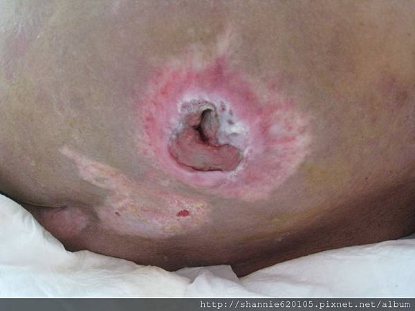 張金川1021 張金川1021