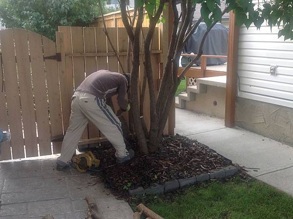 IMG_4090.JPG IMG_4090.JPG