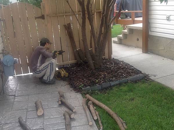 IMG_4091.JPG IMG_4091.JPG