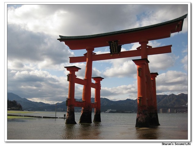 4011ce5c23ad0214db903c59c7582569