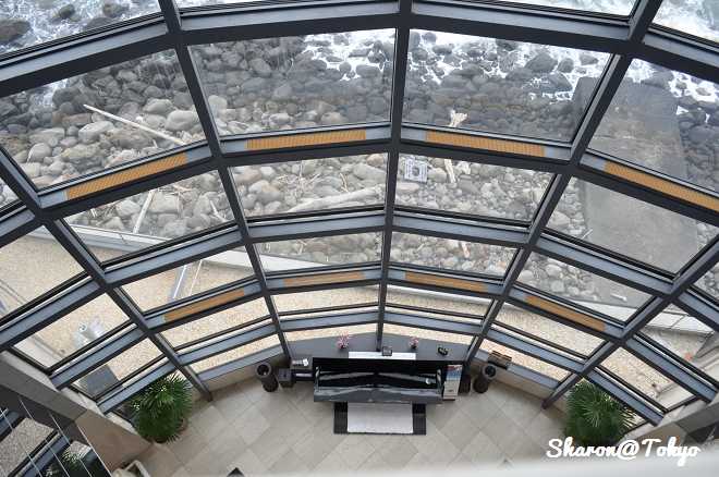 kazeDSC_1884 kazeDSC_1884