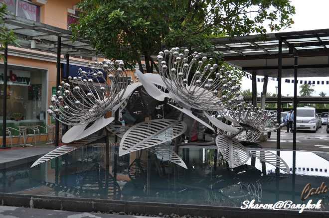 ADSC_3534.jpg ADSC_3534.jpg