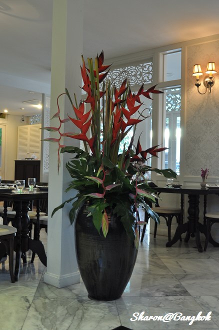 ADSC_3740.jpg ADSC_3740.jpg