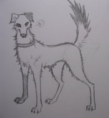 自創(私心)-雲犬