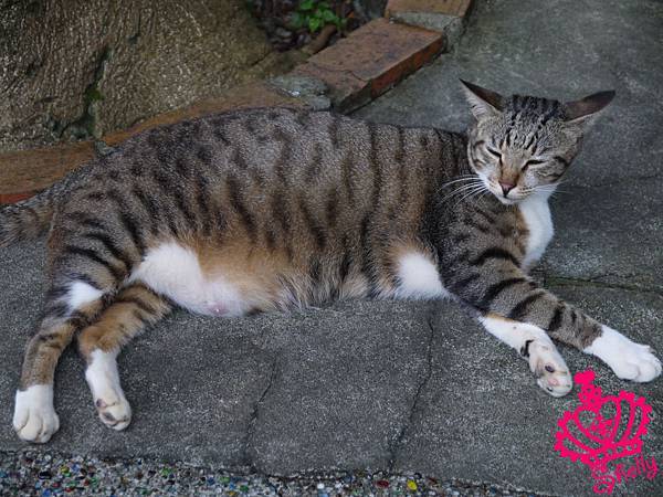 看詳細窩客島の日記