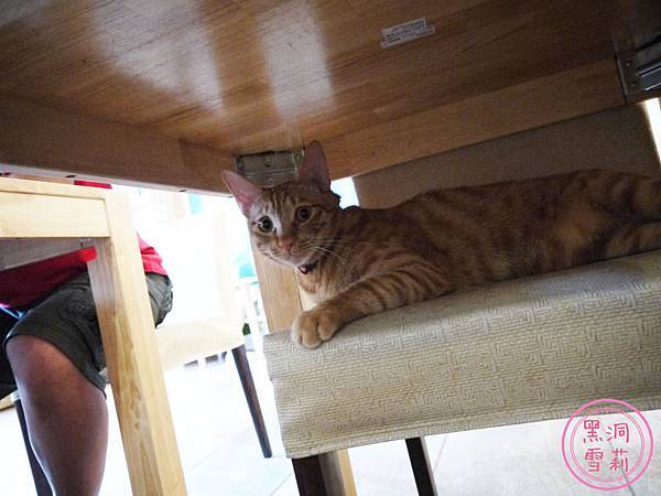 貓旅行-09.jpg