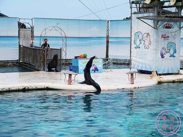 野柳海洋世界-11.jpg