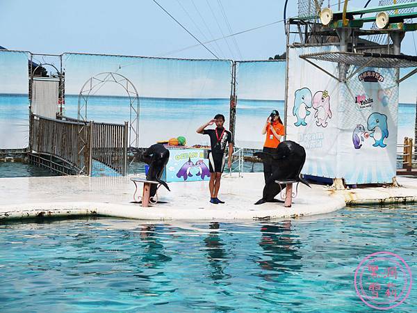 野柳海洋世界-12.jpg