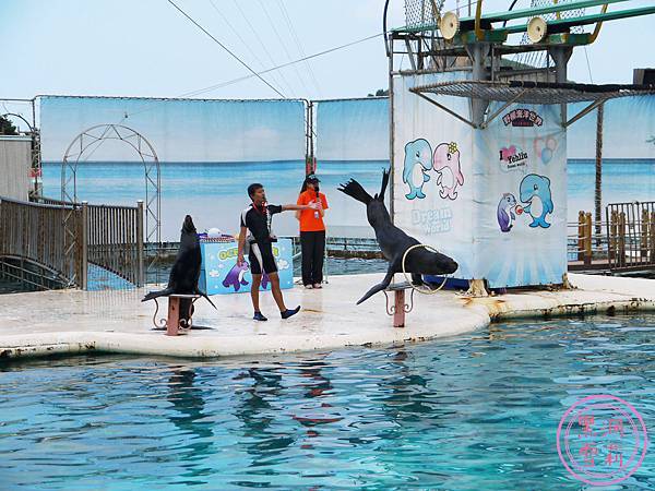野柳海洋世界-18.jpg