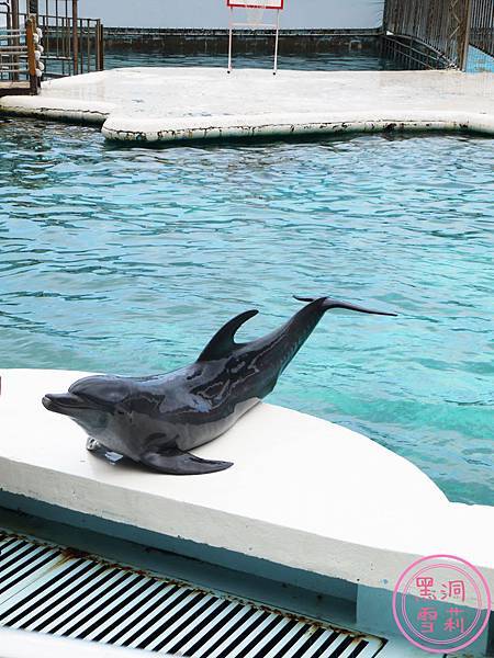 野柳海洋世界-148.jpg