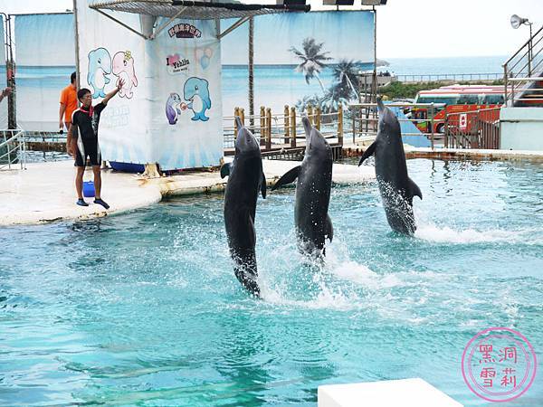 野柳海洋世界-151.jpg