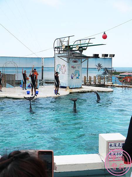 野柳海洋世界-154.jpg