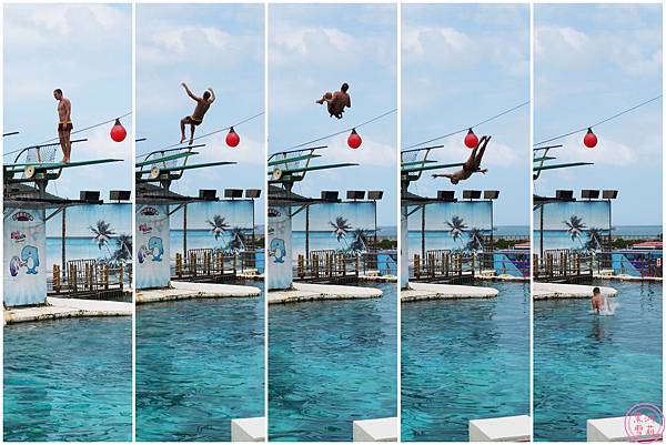 海洋世界-跳板跳水.jpg