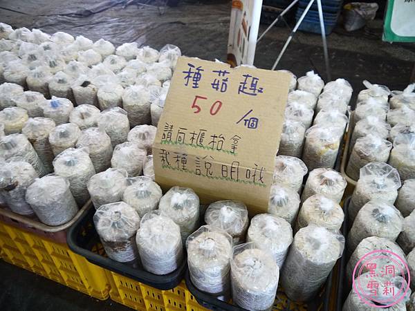 百菇莊-19.jpg