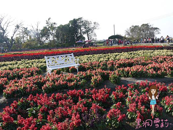 花海-29.jpg 花海-29.jpg