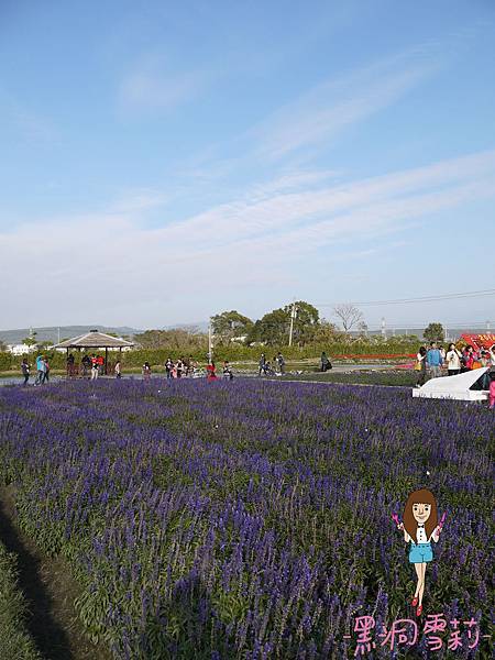 花海-36.jpg 花海-36.jpg