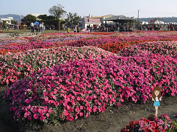 花海-38.jpg 花海-38.jpg