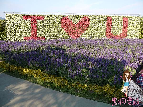 花海-43.jpg 花海-43.jpg