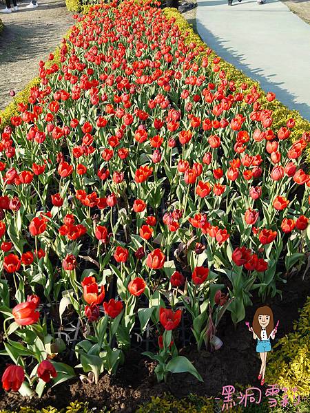 花海-46.jpg 花海-46.jpg