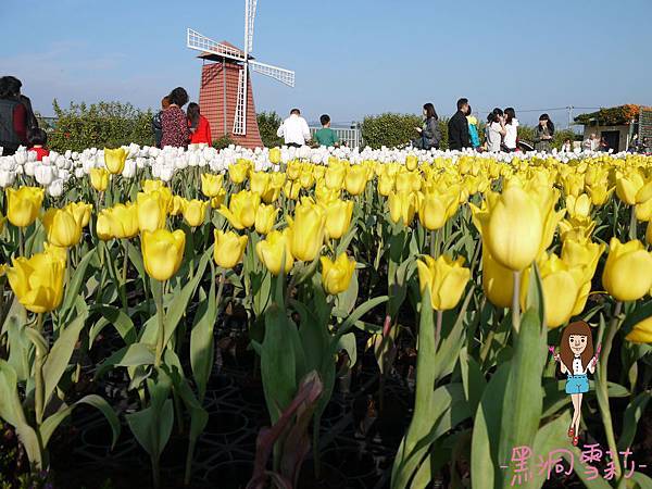 花海-50.jpg 花海-50.jpg