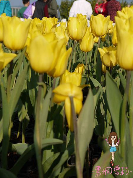 花海-51.jpg 花海-51.jpg