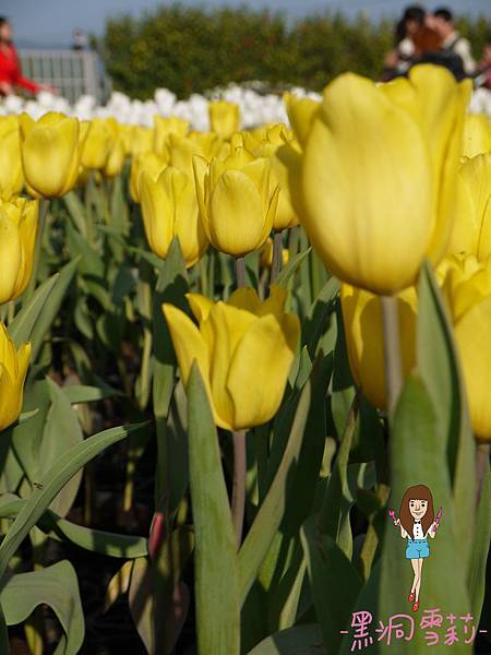 花海-53.jpg 花海-53.jpg