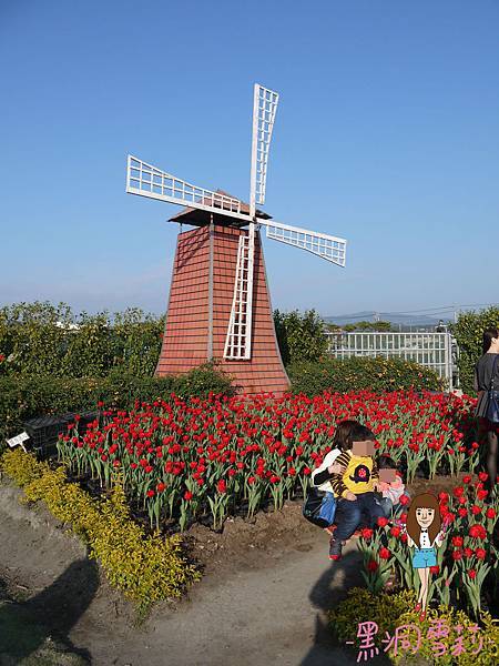 花海-54.jpg 花海-54.jpg