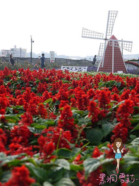 花海-15.jpg 花海-15.jpg