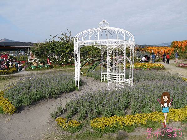 花海-18.jpg 花海-18.jpg