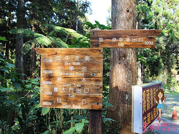 溪頭自然教育園區-16.jpg