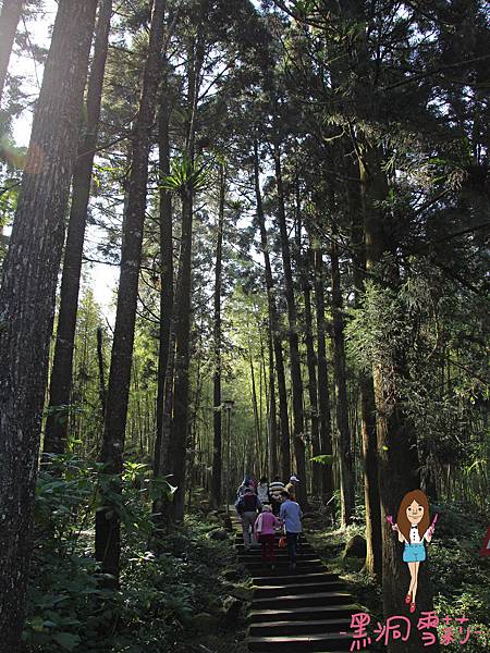 溪頭自然教育園區-21.jpg