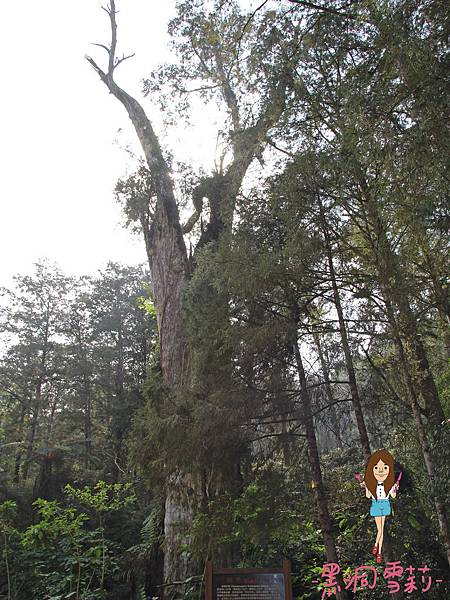 溪頭自然教育園區-36.jpg