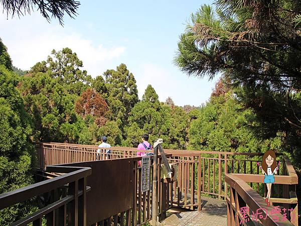 溪頭自然教育園區-47.jpg