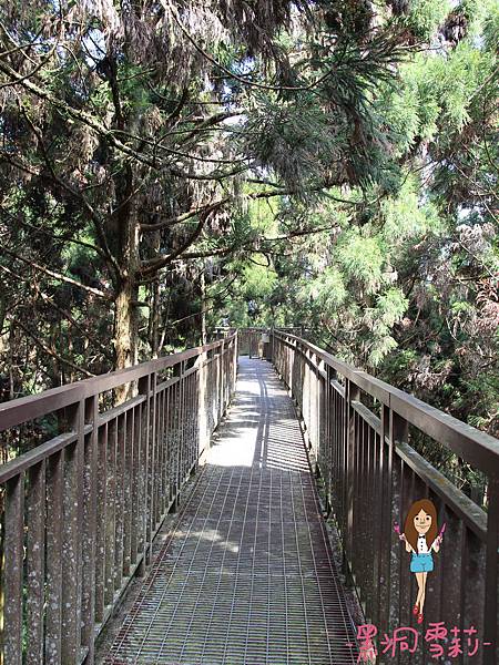 溪頭自然教育園區-50.jpg