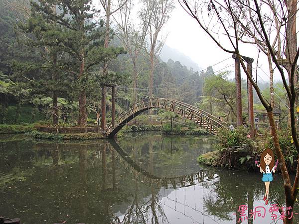 溪頭自然教育園區-54.jpg