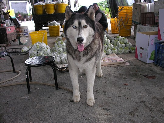 018.jpg 018.jpg