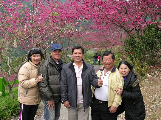 033.jpg 033.jpg