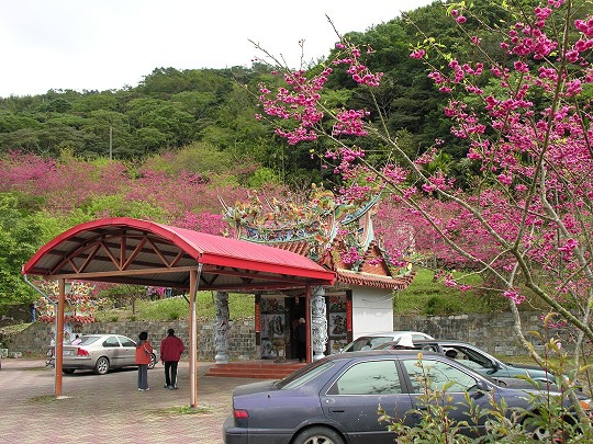041.jpg 041.jpg