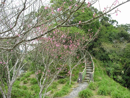 055.jpg 055.jpg