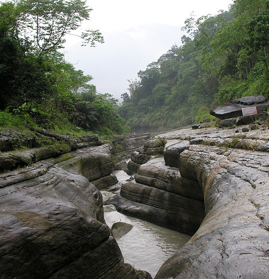 019.jpg 019.jpg