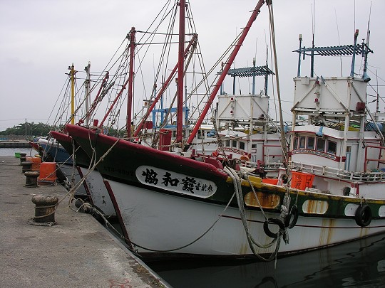 031.jpg 031.jpg