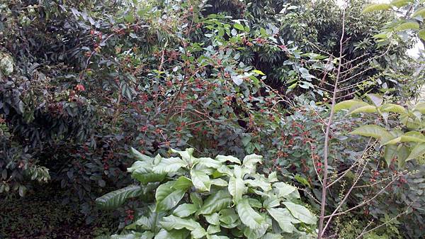 2013-04-10_11-54-12_859 2013-04-10_11-54-12_859