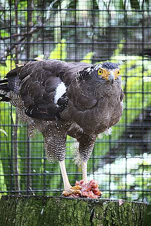 IMG_7468 IMG_7468