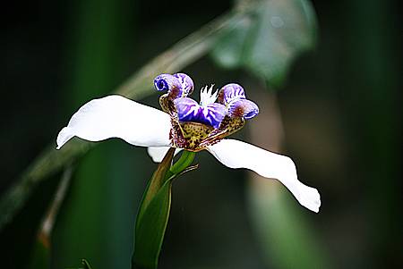 IMG_7409 IMG_7409