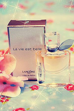 DSC02934_1 DSC02934_1