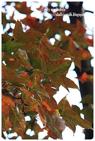 IMG_9048 IMG_9048