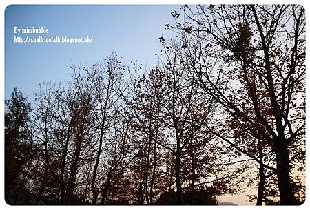IMG_9115 IMG_9115